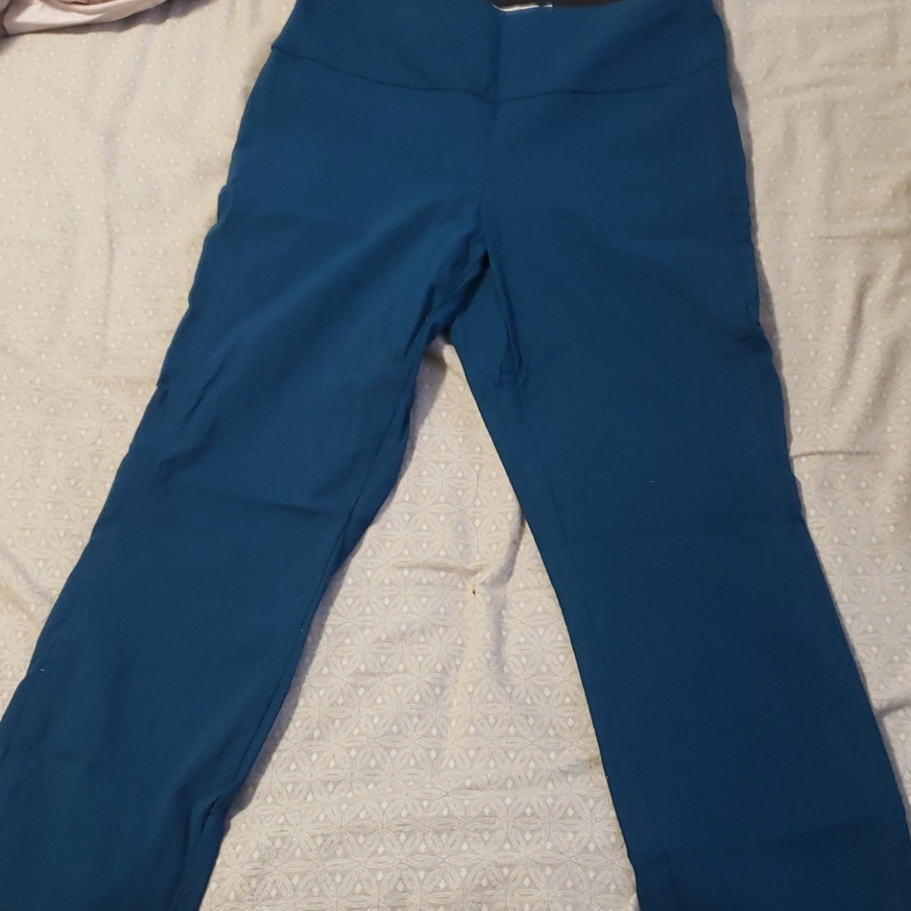 Dress pants